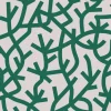 A Forest, Douglas Fir