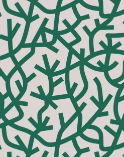 A Forest, Douglas Fir