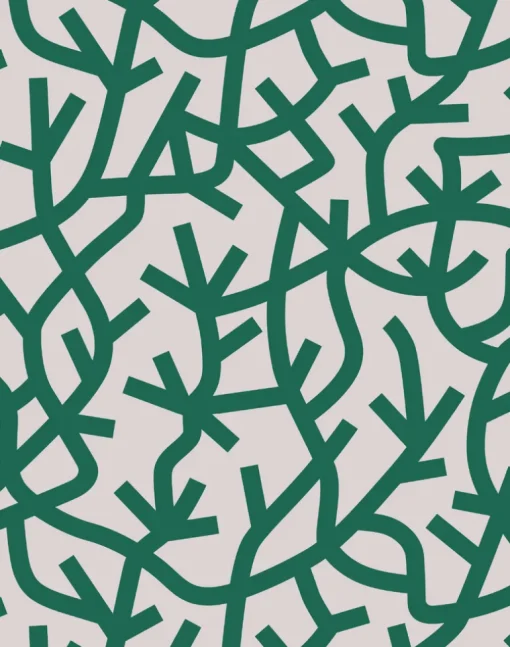 A Forest, Douglas Fir