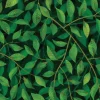 A Million Leaves, Dark