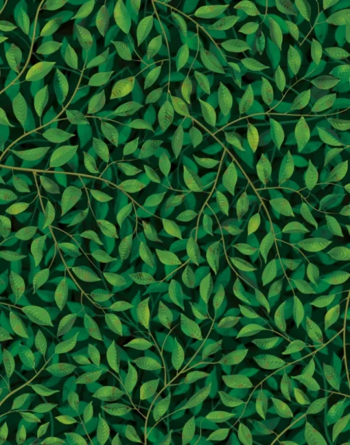 A Million Leaves, Dark Supersized