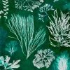 Algae, Moss