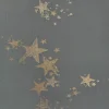 All Star, Gunmetal