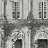 ANIMAL ARCHITECTURE ARCHITECTURE GREY