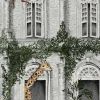 ANIMAL ARCHITECTURE ARCHITECTURE GREEN