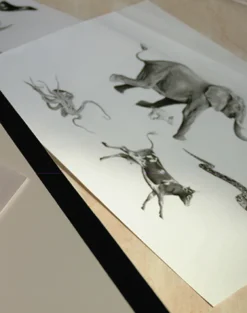 Animals, Charcoal on Bone