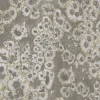 Archipelago, Lichen