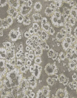 Archipelago, Lichen