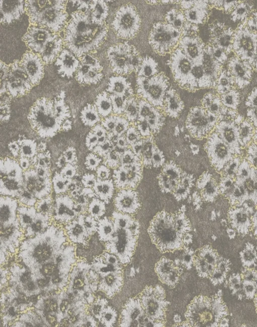 Archipelago, Lichen