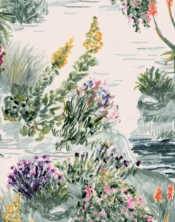Archipelago Sage