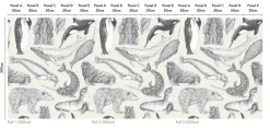 Arctic Animals MAC050