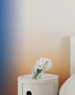 ASMR, Alpha