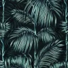 Balearic Palm