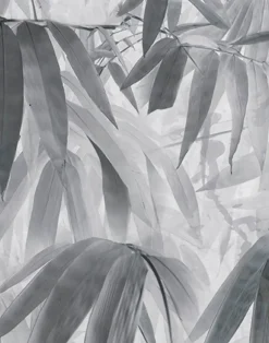 Bamboo Breeze - Haze, PM165-06