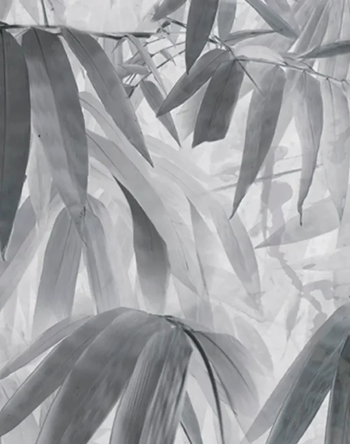 Bamboo Breeze - Haze, PM165-06