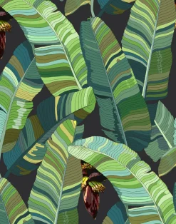 Banana Palm Dream, Mercedes