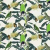 Banksia Medley, Lime Flowers on Worn White
