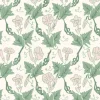 Bindweed, Pink Trumpet