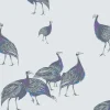 Birds of a Feather, JTBF02