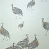 Birds of a Feather, JTBF01