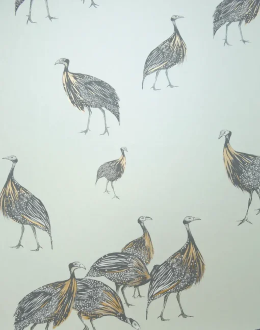 Birds of a Feather, JTBF01