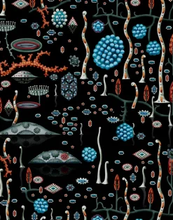 Black Lake