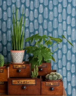 Bloom, Teal