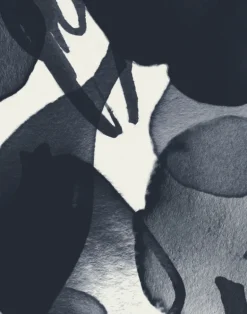 Botanic, Shadow