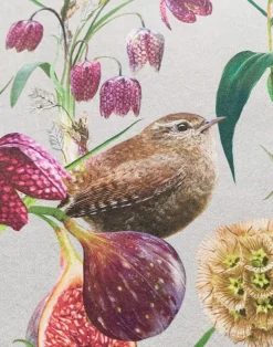 Botanical Wren, French Grey