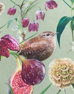 Botanical Wren, Green Mist