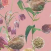 Botanical Wren, Pink Rose