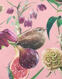 Botanical Wren, Pink Rose