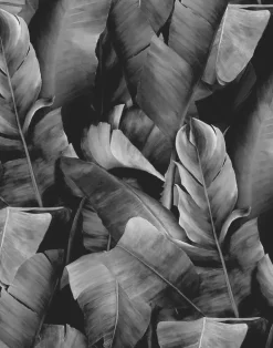 Botany 2 WPLC0195