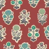 Botany, Terracotta