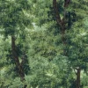 Branchy Meadow Green