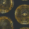 Brooklyn Manhole, Gold on Eclipse