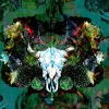 Bruja, Green
