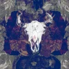 Bruja, Grey