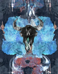 Bruja, Navy