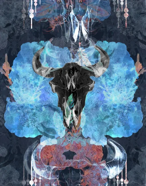 Bruja, Navy