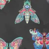 BUTTERFLY EFFECT NOIR