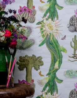 Cactus Mexicanos, Dove