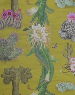 Cactus Mexicanos, Limon