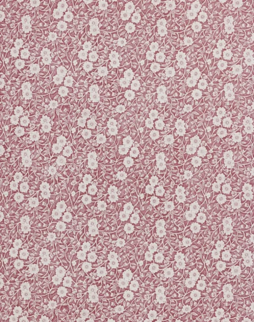Calico, Burnt Rose