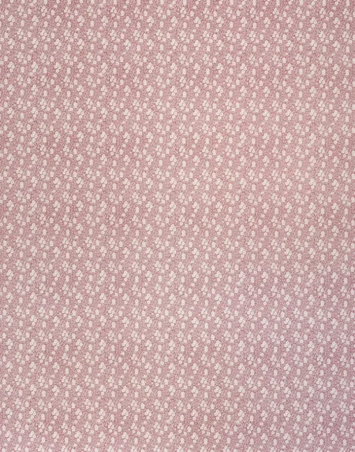 Calico, Burnt Rose