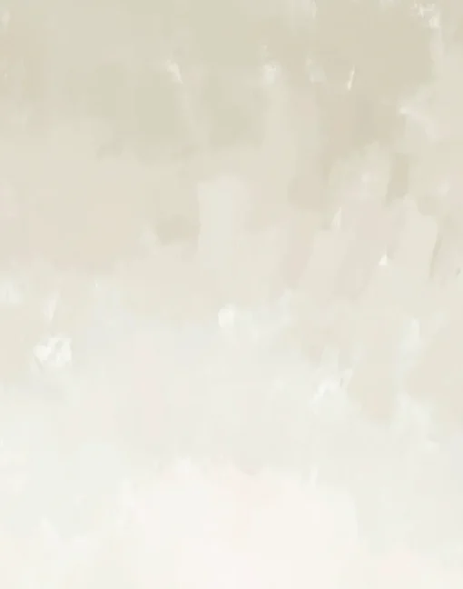 Canopy, Glint