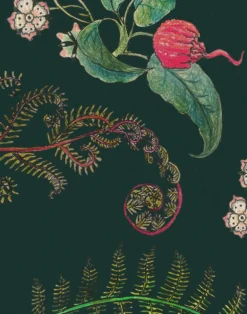 Carolina Posies, Forest