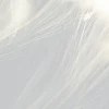 Celestial, Ash