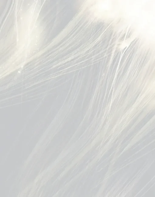 Celestial, Ash