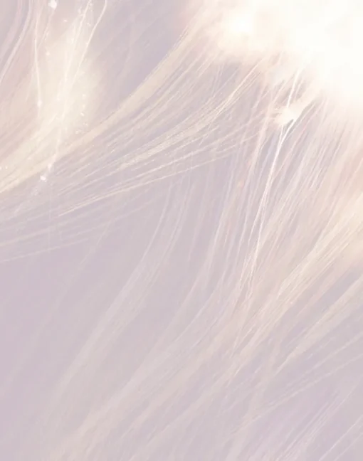 Celestial, Dawn